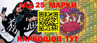 молекула духа Жуковский
