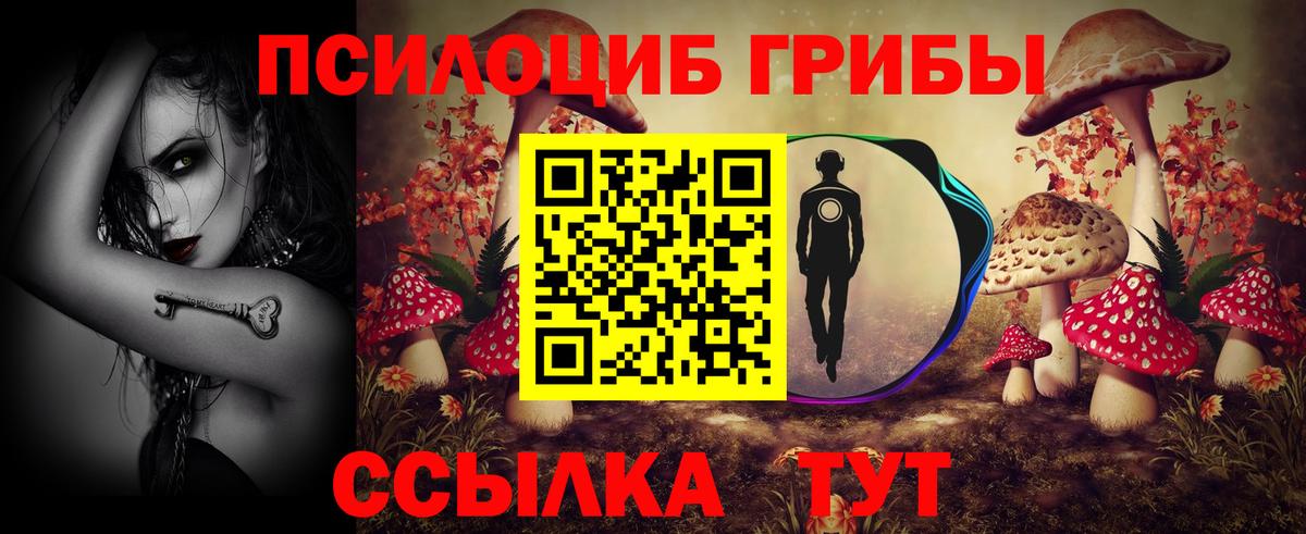 Галлюциногенные грибы Cubensis  Галлюциногенные грибы Psilocybe  Вход с VPN  где купить наркотик  Ливны 