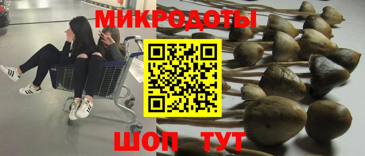 Галлюциногенные грибы Cubensis Ливны